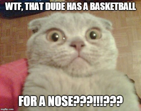 Stunned Cat | WTF, THAT DUDE HAS A BASKETBALL FOR A NOSE???!!!??? | image tagged in stunned cat | made w/ Imgflip meme maker