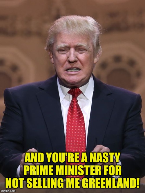 Donald Trump | AND YOU'RE A NASTY PRIME MINISTER FOR NOT SELLING ME GREENLAND! | image tagged in donald trump | made w/ Imgflip meme maker