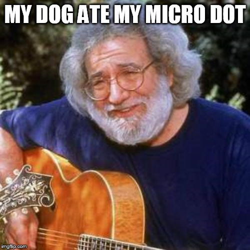 Jerry Garcia | MY DOG ATE MY MICRO DOT | image tagged in jerry garcia | made w/ Imgflip meme maker