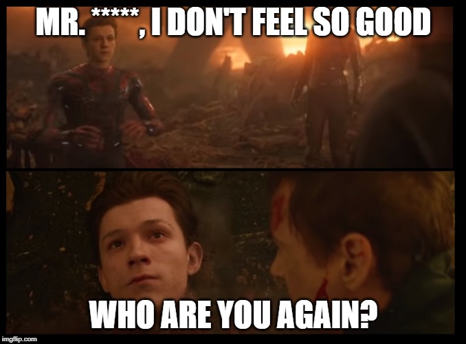 In memory of those who no longer exist. | MR. *****, I DON'T FEEL SO GOOD; WHO ARE YOU AGAIN? | image tagged in mr stark | made w/ Imgflip meme maker