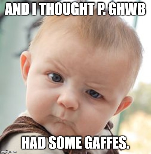 Skeptical Baby Meme | AND I THOUGHT P. GHWB HAD SOME GAFFES. | image tagged in memes,skeptical baby | made w/ Imgflip meme maker