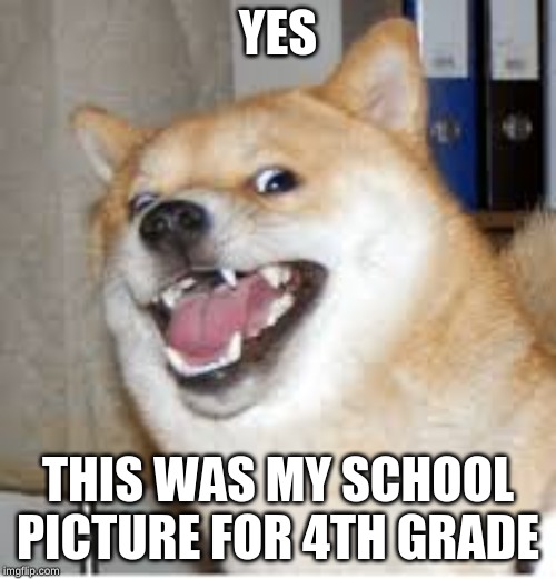 doge | YES; THIS WAS MY SCHOOL PICTURE FOR 4TH GRADE | image tagged in angry doge | made w/ Imgflip meme maker