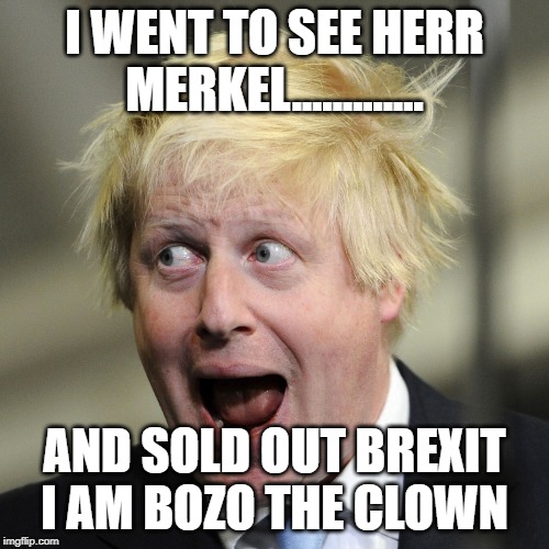 Boris Johnson | I WENT TO SEE HERR MERKEL............. AND SOLD OUT BREXIT I AM BOZO THE CLOWN | image tagged in boris johnson | made w/ Imgflip meme maker