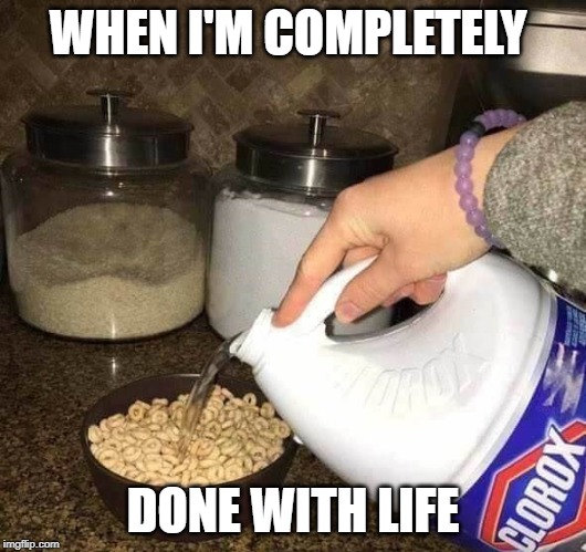 bealch in my cereal | WHEN I'M COMPLETELY; DONE WITH LIFE | image tagged in bealch in my cereal | made w/ Imgflip meme maker