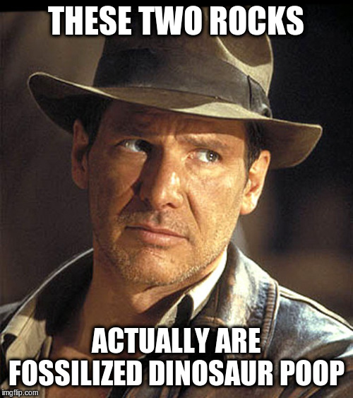 Indiana jones | THESE TWO ROCKS ACTUALLY ARE FOSSILIZED DINOSAUR POOP | image tagged in indiana jones | made w/ Imgflip meme maker