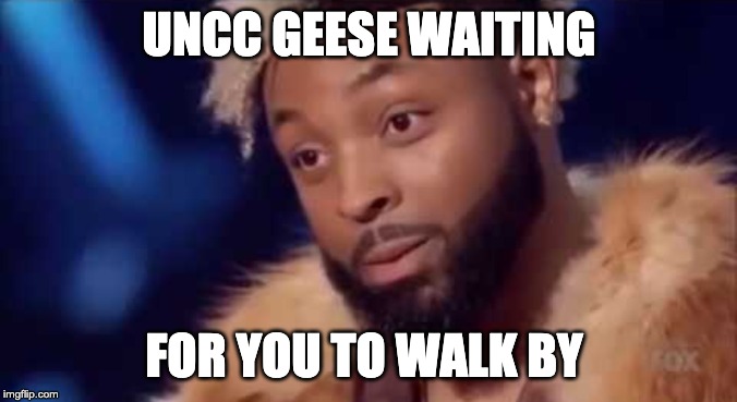 UNCC GEESE WAITING; FOR YOU TO WALK BY | image tagged in UNCCharlotte | made w/ Imgflip meme maker