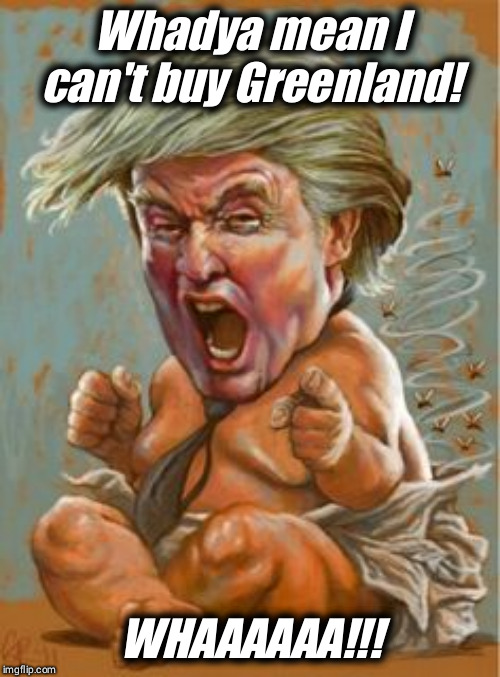 Oh yeah, this is really Making America Great Again alright. Shrrr. | Whadya mean I can't buy Greenland! WHAAAAAA!!! | image tagged in trump baby,trump,tantrum,diaper,greenland | made w/ Imgflip meme maker