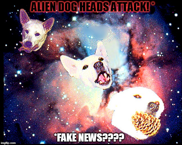 Alien Dog Heads Attack!*
*Fake News???? | ALIEN DOG HEADS ATTACK! *; *FAKE NEWS???? | image tagged in alien,dog,heads,attack,fake news | made w/ Imgflip meme maker