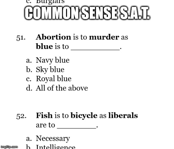 COMMON SENSE S.A.T. | image tagged in abortion,abortion is murder,test | made w/ Imgflip meme maker