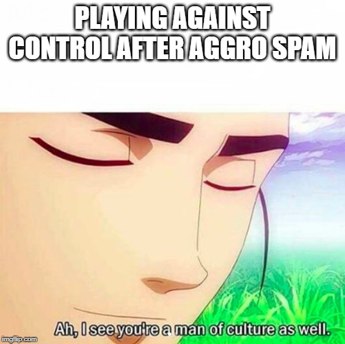 Ah,I see you are a man of culture as well | PLAYING AGAINST CONTROL AFTER AGGRO SPAM | image tagged in ah i see you are a man of culture as well | made w/ Imgflip meme maker