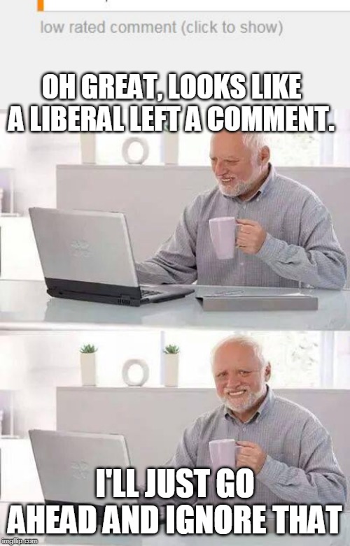 LOW RATED COMMENT | OH GREAT, LOOKS LIKE A LIBERAL LEFT A COMMENT. I'LL JUST GO AHEAD AND IGNORE THAT | image tagged in memes,hide the pain harold,liberals | made w/ Imgflip meme maker