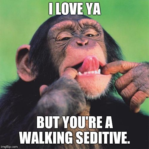 monkey tongue | I LOVE YA BUT YOU'RE A WALKING SEDITIVE. | image tagged in monkey tongue | made w/ Imgflip meme maker