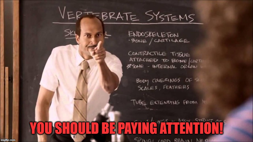 Key and Peele Substitute Teacher | YOU SHOULD BE PAYING ATTENTION! | image tagged in key and peele substitute teacher | made w/ Imgflip meme maker