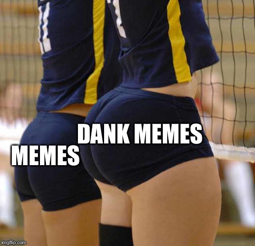Volleyball Thicccness | DANK MEMES; MEMES | image tagged in volleyball thicccness | made w/ Imgflip meme maker