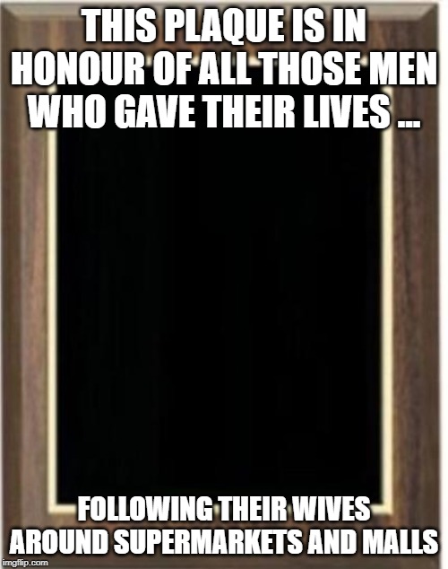 Blank plaque | THIS PLAQUE IS IN HONOUR OF ALL THOSE MEN WHO GAVE THEIR LIVES ... FOLLOWING THEIR WIVES AROUND SUPERMARKETS AND MALLS | image tagged in blank plaque | made w/ Imgflip meme maker