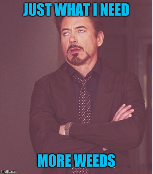 Face You Make Robert Downey Jr Meme | JUST WHAT I NEED MORE WEEDS | image tagged in memes,face you make robert downey jr | made w/ Imgflip meme maker