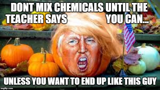 trumpkin | DONT MIX CHEMICALS UNTIL THE 
TEACHER SAYS                    YOU CAN... UNLESS YOU WANT TO END UP LIKE THIS GUY | image tagged in lab saftey,trumpkin,donald trump | made w/ Imgflip meme maker