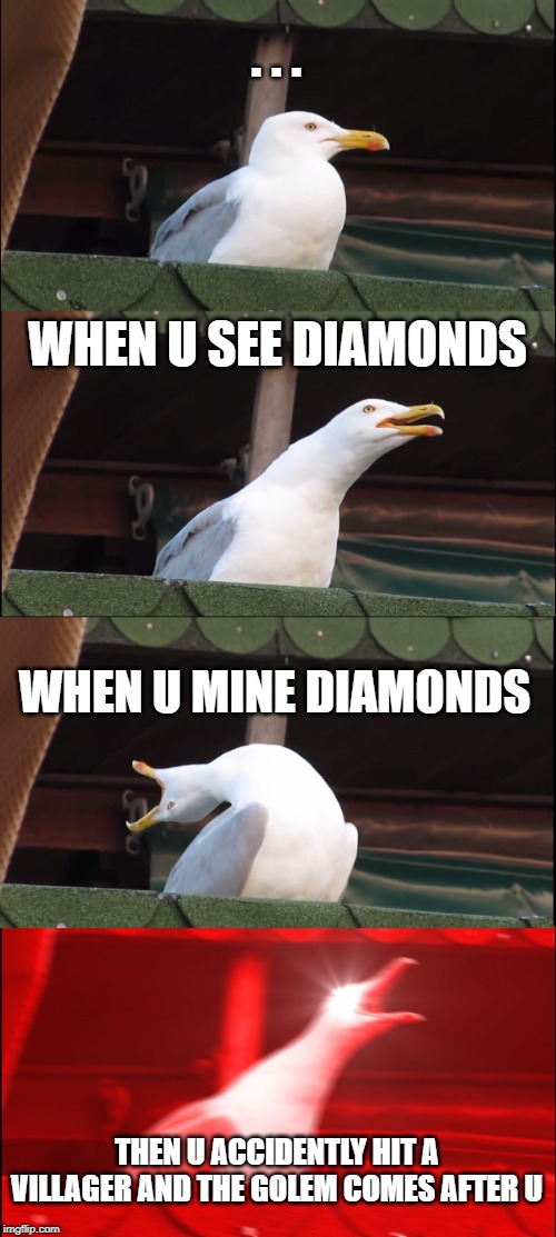 Inhaling Seagull | . . . WHEN U SEE DIAMONDS; WHEN U MINE DIAMONDS; THEN U ACCIDENTLY HIT A VILLAGER AND THE GOLEM COMES AFTER U | image tagged in memes,inhaling seagull | made w/ Imgflip meme maker
