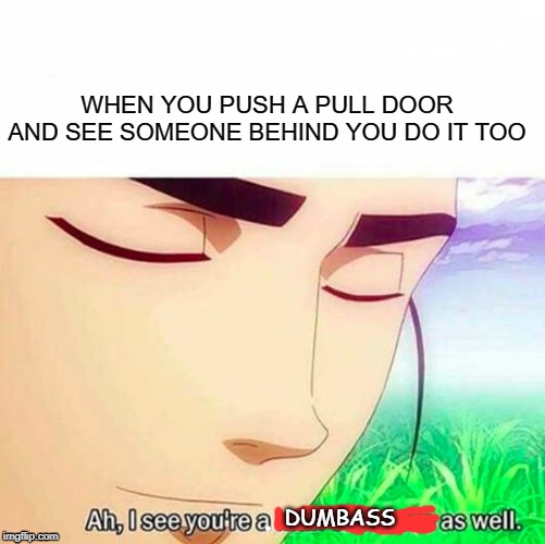 Ah,I see you are a man of culture as well | WHEN YOU PUSH A PULL DOOR AND SEE SOMEONE BEHIND YOU DO IT TOO; DUMBASS | image tagged in ah i see you are a man of culture as well | made w/ Imgflip meme maker