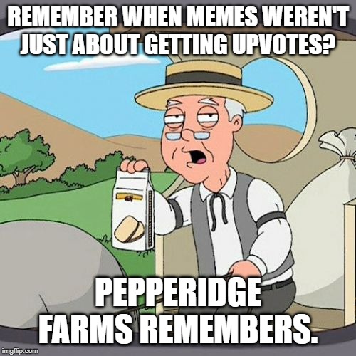 Pepperidge Farm Remembers | REMEMBER WHEN MEMES WEREN'T JUST ABOUT GETTING UPVOTES? PEPPERIDGE FARMS REMEMBERS. | image tagged in memes,pepperidge farm remembers | made w/ Imgflip meme maker