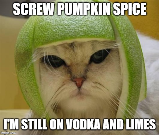 lime-cat | SCREW PUMPKIN SPICE; I'M STILL ON VODKA AND LIMES | image tagged in lime-cat | made w/ Imgflip meme maker