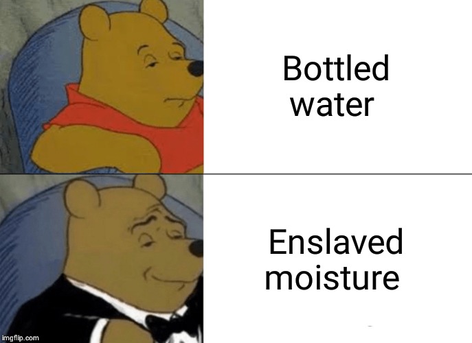 Tuxedo Winnie The Pooh Meme | Bottled water; Enslaved moisture | image tagged in memes,tuxedo winnie the pooh | made w/ Imgflip meme maker