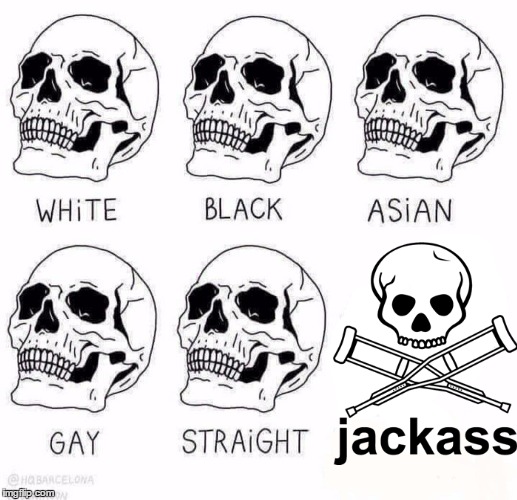 Jackass Skull | image tagged in retarded caveman skulls,jackass,idiot skull,skull | made w/ Imgflip meme maker