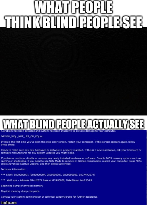 WHAT PEOPLE THINK BLIND PEOPLE SEE; WHAT BLIND PEOPLE ACTUALLY SEE | image tagged in blank white template | made w/ Imgflip meme maker