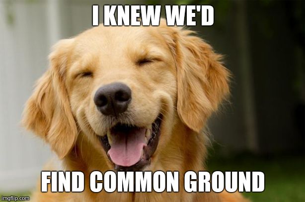 Happy Dog | I KNEW WE'D FIND COMMON GROUND | image tagged in happy dog | made w/ Imgflip meme maker