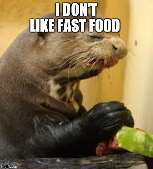 Disgusted Otter | I DON'T LIKE FAST FOOD | image tagged in disgusted otter | made w/ Imgflip meme maker
