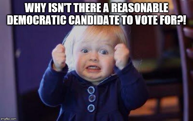 Come on | WHY ISN'T THERE A REASONABLE DEMOCRATIC CANDIDATE TO VOTE FOR?! | image tagged in come on | made w/ Imgflip meme maker