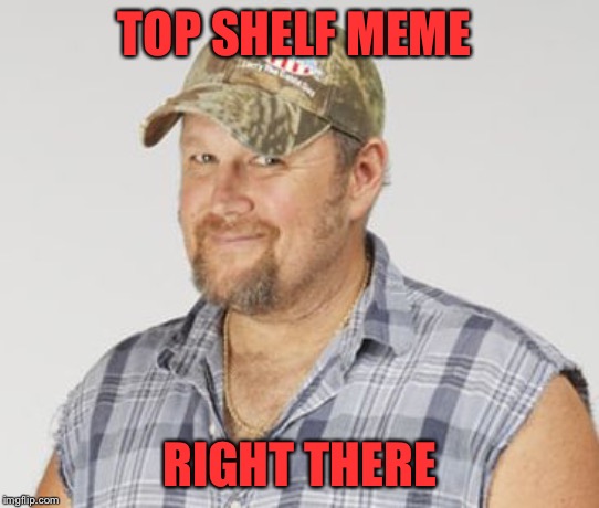 Larry The Cable Guy Meme | TOP SHELF MEME RIGHT THERE | image tagged in memes,larry the cable guy | made w/ Imgflip meme maker