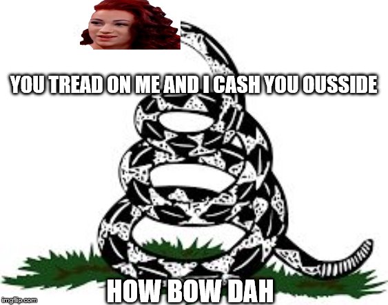 Don't Tread On Me | YOU TREAD ON ME AND I CASH YOU OUSSIDE; HOW BOW DAH | image tagged in don't tread on me,cash me ousside how bow dah,danielle bregoli | made w/ Imgflip meme maker
