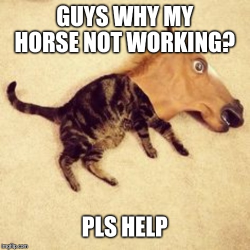 Why horse don't work | GUYS WHY MY HORSE NOT WORKING? PLS HELP | image tagged in lolcats | made w/ Imgflip meme maker
