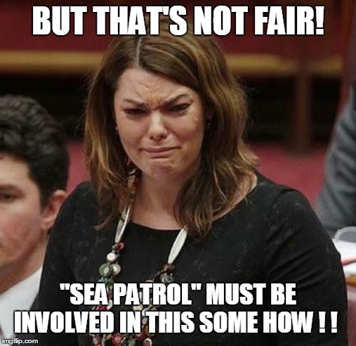 BUT THAT'S NOT FAIR! "SEA PATROL" MUST BE INVOLVED IN THIS SOME HOW ! ! | made w/ Imgflip meme maker