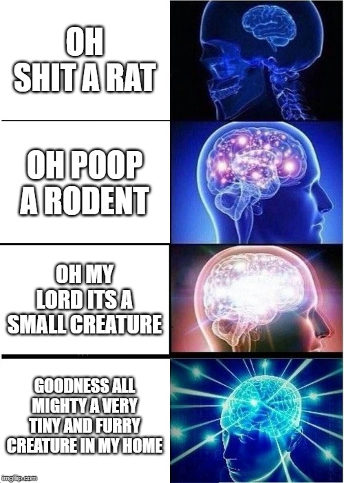 Expanding Brain | OH SHIT A RAT; OH POOP A RODENT; OH MY LORD ITS A SMALL CREATURE; GOODNESS ALL MIGHTY A VERY TINY AND FURRY CREATURE IN MY HOME | image tagged in memes,expanding brain | made w/ Imgflip meme maker