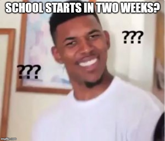 Nick Young | SCHOOL STARTS IN TWO WEEKS? | image tagged in nick young | made w/ Imgflip meme maker