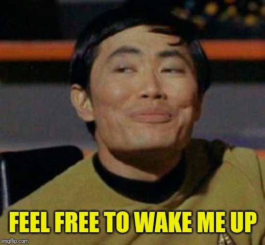 George Takei | FEEL FREE TO WAKE ME UP | image tagged in george takei | made w/ Imgflip meme maker