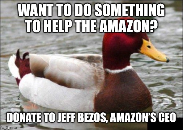 Malicious Advice Mallard Meme | WANT TO DO SOMETHING TO HELP THE AMAZON? DONATE TO JEFF BEZOS, AMAZON’S CEO | image tagged in memes,malicious advice mallard,AdviceAnimals | made w/ Imgflip meme maker