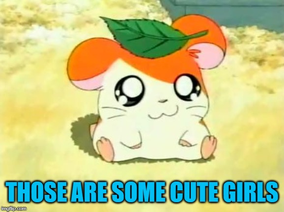 Hamtaro Meme | THOSE ARE SOME CUTE GIRLS | image tagged in memes,hamtaro | made w/ Imgflip meme maker