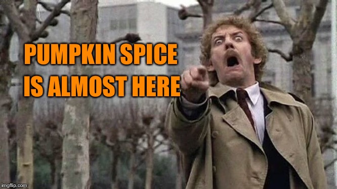 Horror | PUMPKIN SPICE; IS ALMOST HERE | image tagged in horror | made w/ Imgflip meme maker