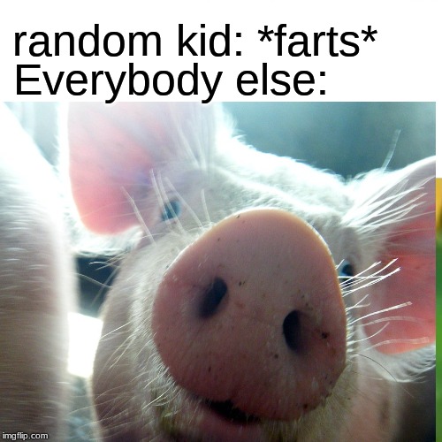 sniff, sniff | Everybody else:; random kid: *farts* | image tagged in pigs | made w/ Imgflip meme maker