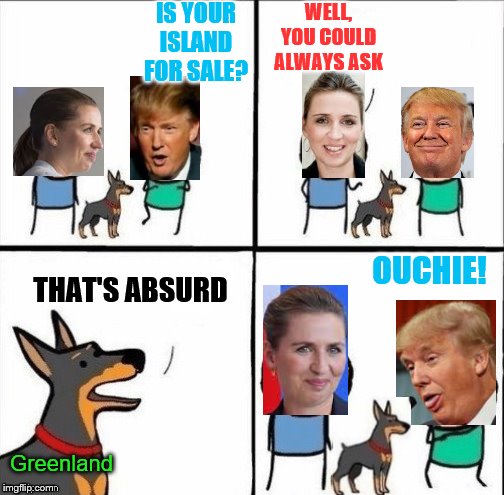 Trump gets hurt by Greenland "Absurd" comment. AKA: Showing Liberals how to meme | IS YOUR ISLAND FOR SALE? WELL, YOU COULD ALWAYS ASK; OUCHIE! THAT'S ABSURD; Greenland | image tagged in dog hurting fellings,memes,greenland,donald trump,political meme | made w/ Imgflip meme maker