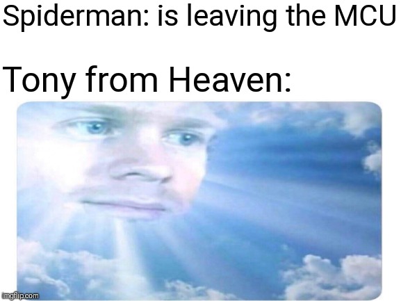 Another Spider-man Leaving MCU Meme | Spiderman: is leaving the MCU; Tony from Heaven: | image tagged in memes,marvel,spiderman | made w/ Imgflip meme maker