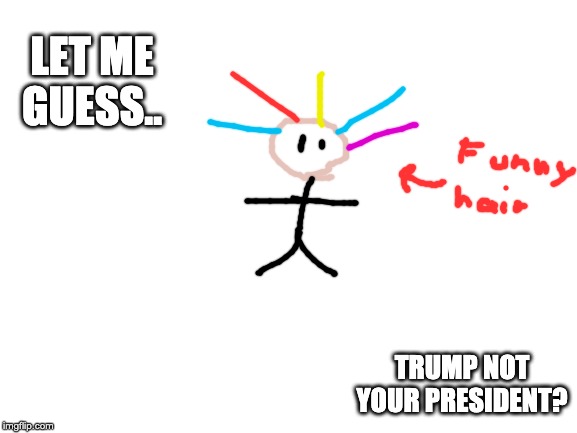 Blank White Template | LET ME GUESS.. TRUMP NOT YOUR PRESIDENT? | image tagged in blank white template | made w/ Imgflip meme maker