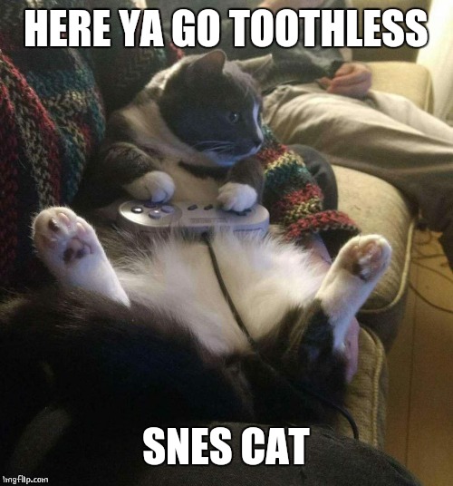 SNES CAT | HERE YA GO TOOTHLESS SNES CAT | image tagged in snes cat | made w/ Imgflip meme maker