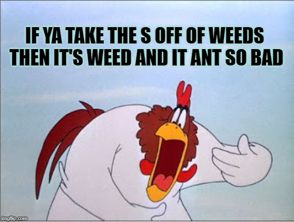 foghorn | IF YA TAKE THE S OFF OF WEEDS 
THEN IT'S WEED AND IT ANT SO BAD | image tagged in foghorn | made w/ Imgflip meme maker