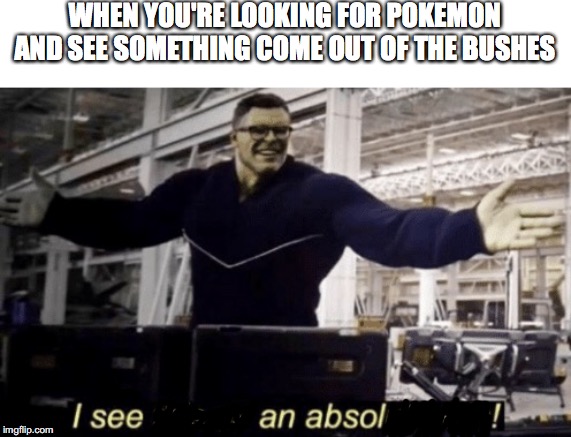 I See This as an Absolute Win! | WHEN YOU'RE LOOKING FOR POKEMON AND SEE SOMETHING COME OUT OF THE BUSHES | image tagged in i see this as an absolute win | made w/ Imgflip meme maker