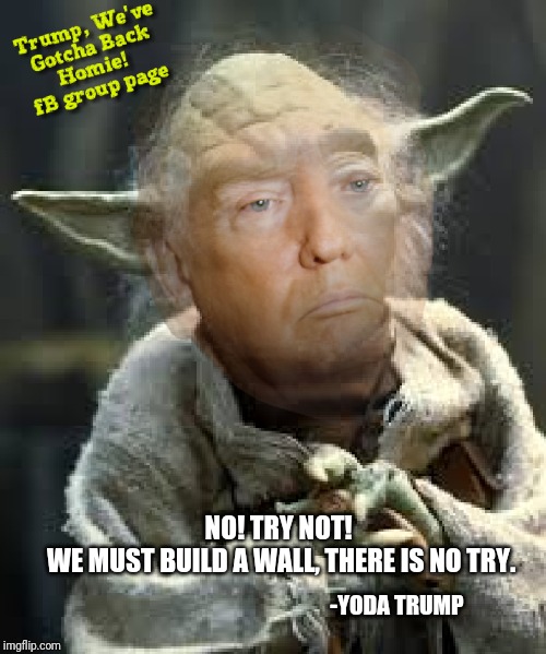Yoda Trump | NO! TRY NOT! 
WE MUST BUILD A WALL, THERE IS NO TRY. -YODA TRUMP | image tagged in star wars,trump wall,jedi,president donald trump,yoda qoute,2020 election | made w/ Imgflip meme maker