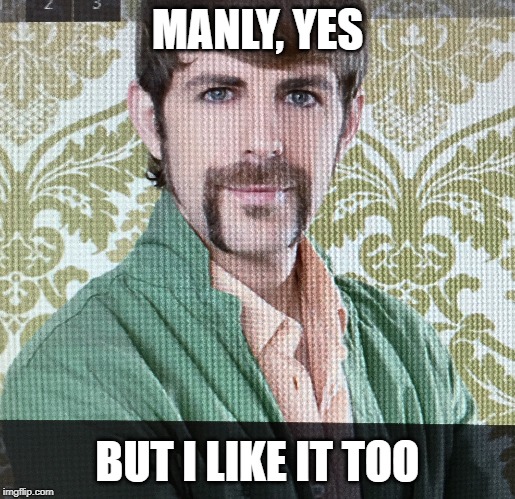 Manly | MANLY, YES; BUT I LIKE IT TOO | image tagged in funny | made w/ Imgflip meme maker